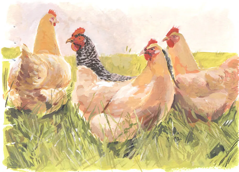 Painting of free hens
