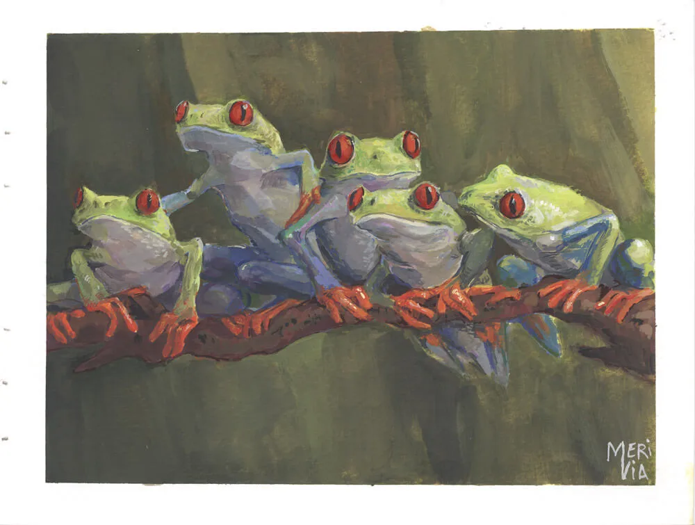 Frogs on a branch